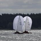 IMG_7259.jpg