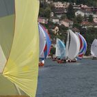 alb2_img569.jpg