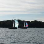 alb2_img643.jpg