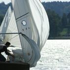 alb2_img683.jpg