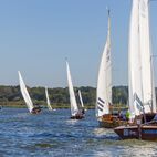 Herbstregatta Webfotos 2024-45.jpg