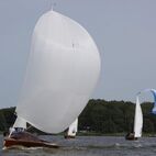 IMG_3565.JPG
