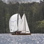 IMG_5847.JPG
