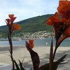 alb2_img424.jpg