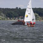 IMG_7707.jpg