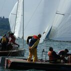 alb2_img689.jpg