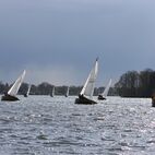 IMG_5716.JPG