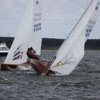 IMG_7341.jpg