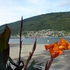 alb2_img423.jpg