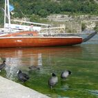 alb2_img459.jpg