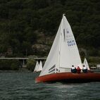 alb2_img491.jpg