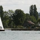 alb2_img542.jpg