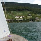 alb2_img658.jpg