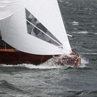 IMG_7302.jpg
