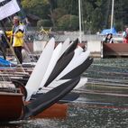 alb2_img431.jpg