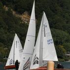 alb2_img544.jpg