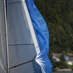 alb2_img548.jpg