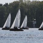 IMG_9964.JPG