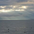 alb2_img427.jpg