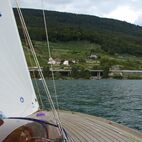 alb2_img656.jpg