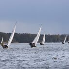 IMG_5720.JPG