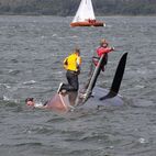 IMG_7721.jpg