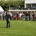 alb2_img461.jpg