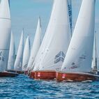  German Open 11_09_25-40892.jpg