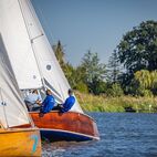 Herbstregatta Webfotos 2024-43.jpg