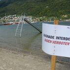 alb2_img425.jpg