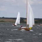 IMG_7318.jpg
