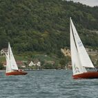 alb2_img488.jpg