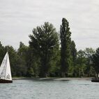 alb2_img543.jpg