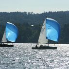 alb2_img665.jpg