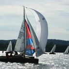 alb2_img679.jpg