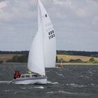 IMG_7317.jpg