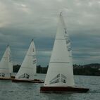 alb2_img618.jpg