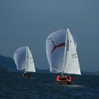 alb2_img661.jpg