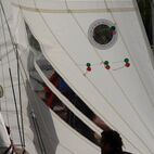 alb2_img455.jpg