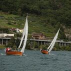 alb2_img486.jpg